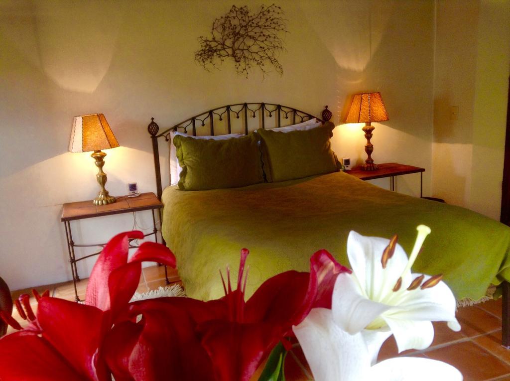 Hotel Secreto โปโซส ห้อง รูปภาพ