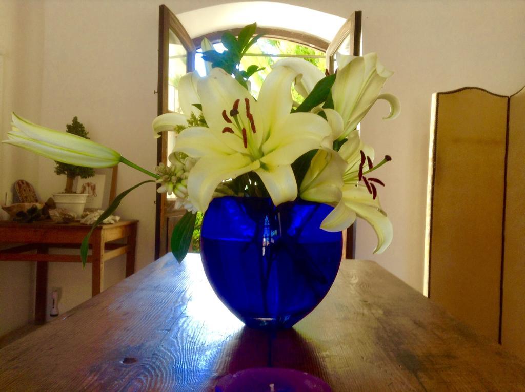 Hotel Secreto โปโซส ภายนอก รูปภาพ